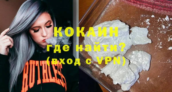 дмт Бородино