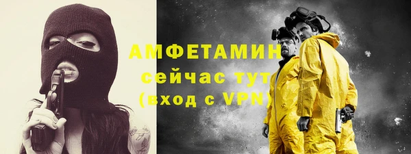 дмт Бородино