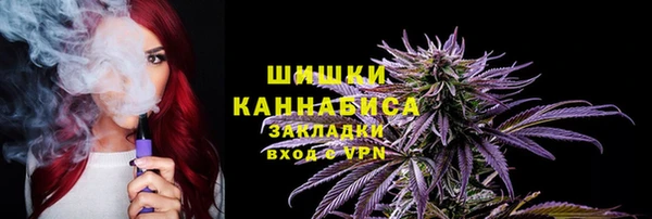 дмт Бородино