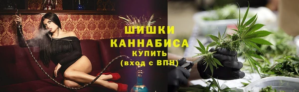 дмт Бородино