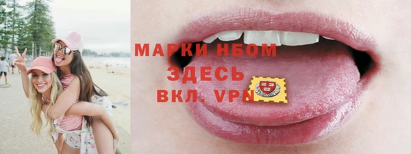 дмт Бородино