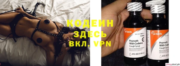 дмт Бородино