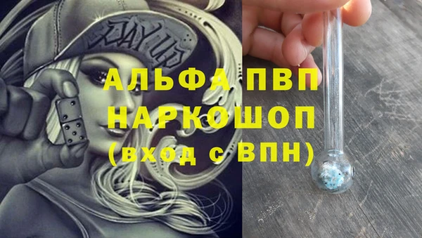 дмт Бородино