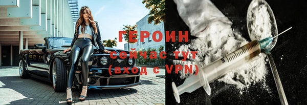 дмт Бородино