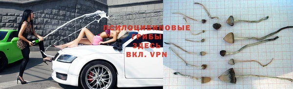 дмт Бородино