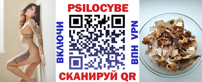 кракен рабочий сайт  Бронницы  Псилоцибиновые грибы Cubensis 